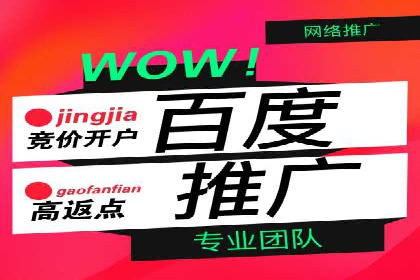 百度竞价运营策略：成功案例解析